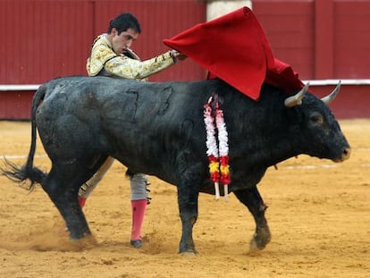 El torero Javier Casta&ntilde;o durante su segundo toro en la corrida de toros de la Feria de Agosto, en la Plaza de Toros de La Malagueta.
 