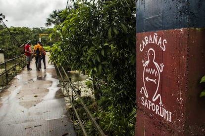 Michael Uzendoski atraviesa el puente sobre el río Achiyaku con una cesta llena de hojas de guayusa sobre su espalda. En la comunidad de Sapo Rumi cuentan con un proyecto de turismo comunitario en el que reciben a visitantes interesados en conocer el modo de vida de los kichwas amazónicos. Cerca del asentamiento se encuentra un conjunto de petroglifos con forma de sapo que datan de hace alrededor de 2.000 años y que dan nombre a la comunidad. Sapo Rumi significa “Sapo de Piedra”.