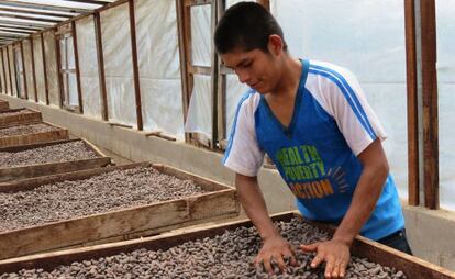 Un pequeño productor nicaragüense en el proceso de secado del cacao