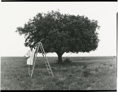 La campaña ha sido fotografiada en el campo extremeño.