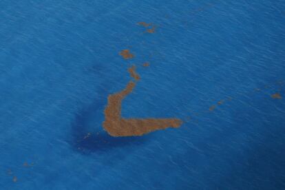 Mancha de algas Sargassum en aguas de Cancún, México.