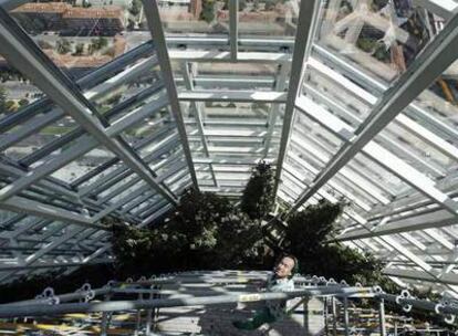 Patrick Blanc, diseñador del jardín vertical de la Torre de Cristal de Mutua Madrileña, posa junto a su obra.