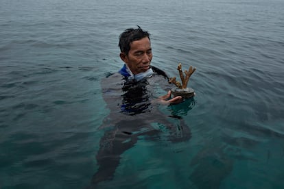 La huella humana. Bang Erik, vecino de la isla de Tidung y activista por la conservación de los arrecifes de coral, durante unos trabajos de recuperación. En los últimos años, el archipiélago de Kepulauan Seribu ha sufrido el efecto del aumento de la temperatura del agua y las actividades humanas.