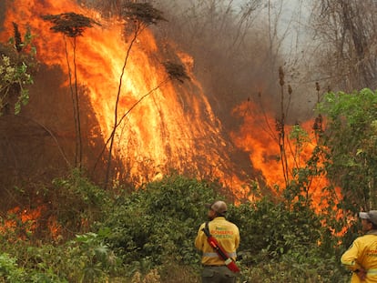 Incendios forestales en Concepción, Bolivia, el 13 de septiembre 2024.