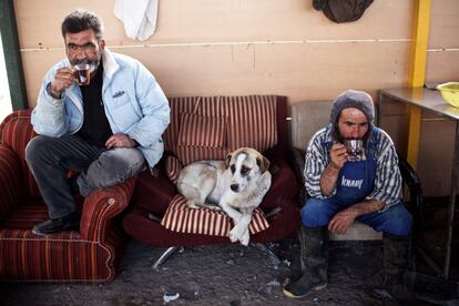 TOPSHOT - Workers of Vafa animal shelter drink a cup of tea during a break on February 19, 2016 in the town of Hashtgerd, some 70kms (43 miles) west of the capital Tehran. Vafa, the first animal shelter in Iran, is a non-government charity that relies on private donations and volunteers and it is currently providing shelter to more than 700 injured and homeless dogs. / AFP / BEHROUZ MEHRI