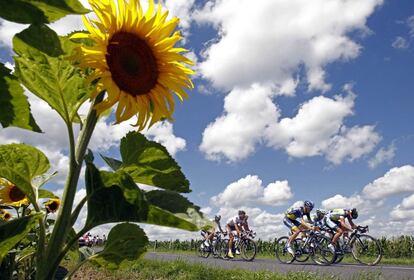 El pelotón, durante la séptima etapa del Tour de Francia.