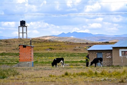 Un programa del Gobierno con la financiación del Banco Interamericano de Desarrollo (BID) y la Cooperación Española está instalando sistemas de agua potable y saneamiento en 214 poblaciones de menos de 2.000 habitantes, las más complicadas e inaccesibles. En la imagen, el tanque de agua de Huarialtaya, que abastece a sus 30 familias.
