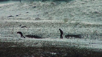 Trabajos forzados en el campo de Corea del Norte, en una imagen del documental.