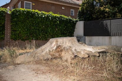 Desperfectos en las aceras de Campodón.