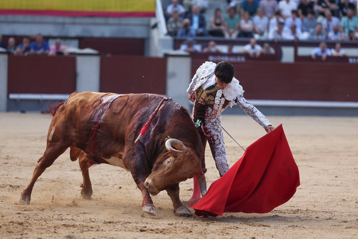 cluster (priority): EL PAÍS Jarocho’s High-Stakes Performance with the Third Bull