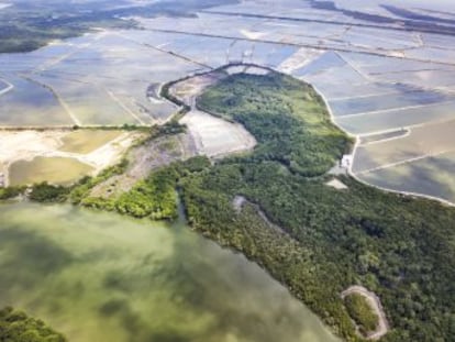 Decenas de miles de presas, embalses o diques bloquean dos tercios de los cursos de agua más grandes del planeta