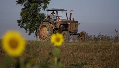 Fotografía de archivo de un tractor en Pinar del Rio (Cuba).