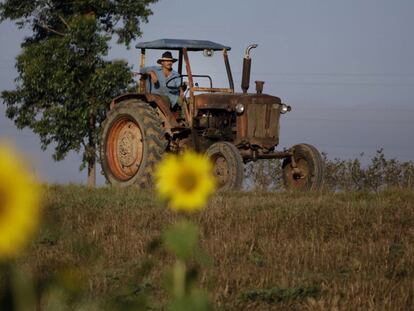 Área rural em Pinar del Río (Cuba), em foto de arquivo.