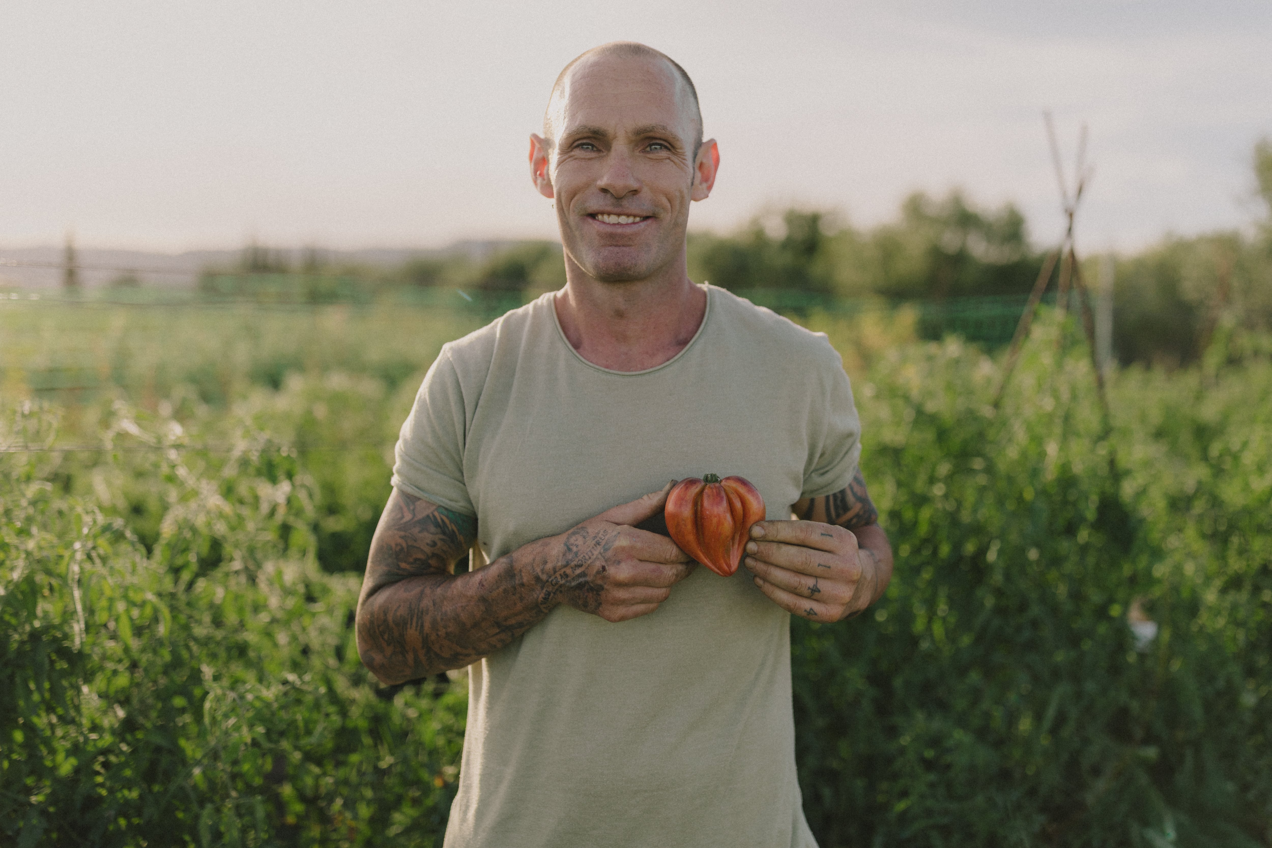 El bombero que cultiva tomates “que saben a tomate” para algunos de los mejores restaurantes de España