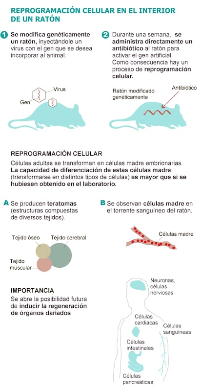 Fuente: CNIO y elaboración propia.