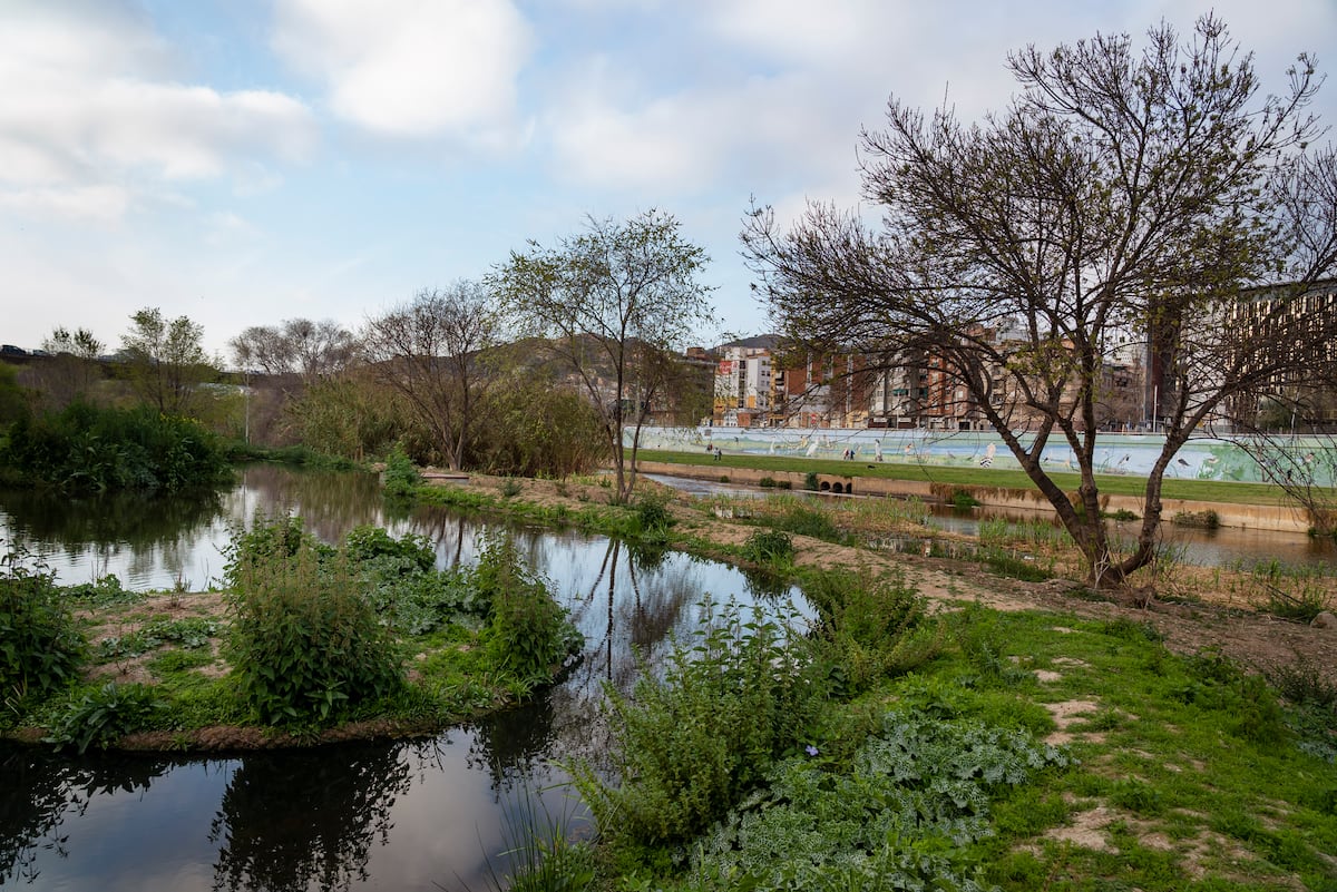 Europa y la amenaza invisible del TFA: una crisis química con consecuencias a largo plazo