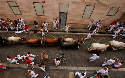 Bulls from the Miura ranch during the climb up the Cuesta de Santo Domingo, during the last running of the bulls of San Fermín. 