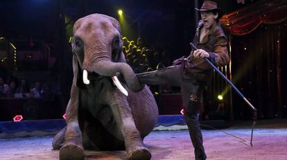 Circo de Monte-Carlo celebrado en Mónaco.