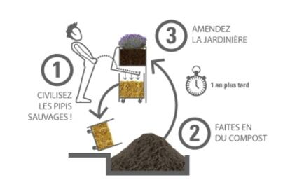 El ciclo que sigue el materia orgánico que se deposita dentro de los urinarios móviles