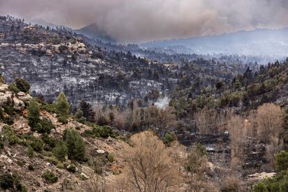 Aspecto de las montañas cercanas a San Agustín, tras el paso del fuego.