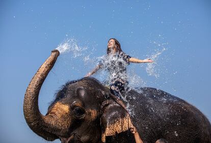 Una joven se baña con un elefante en el río Rapti en Chitwan, Nepa. Siendo uno de los principales destinos turísticos de Nepal, es una zona popular para hacer turismo de vida salvaje.