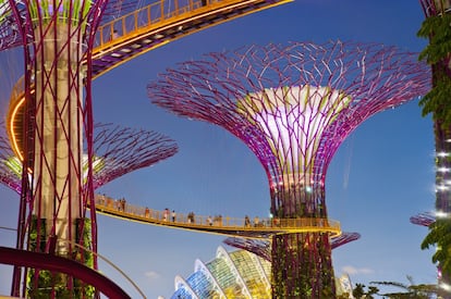 Turistes a les passarel·les dels Jardins de la Badia a Singapur.