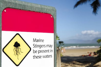 Aviso de la presencia de cubomedusas (Marine Stingers) en una playa del norte de Australia.