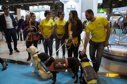 Miembros de Dogtor Animal, plataforma de intervenciones asistidas con animales, durante la anterior edición de Iberzoo+Propet.