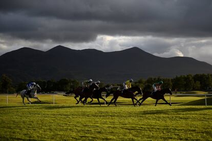 Jinetes compiten en una carrera en el hipódromo de Killarney, en el condado de Kerry, en Killarney (Irlanda).