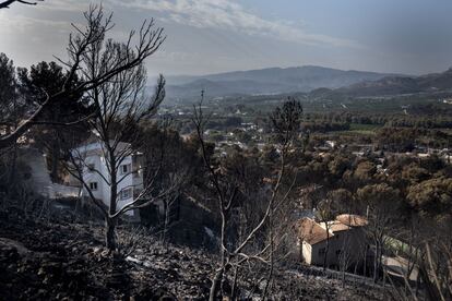 Estado en el que han quedado las urbanizaciones Montepino y Montesol, afectadas por el incendio urbano forestal de Llutxent, en Gandía.