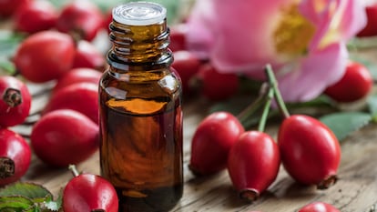 Frutos de la planta rosa mosqueta y un bote de aceite.