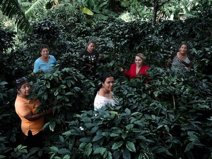 Mujeres de la Asociación Agropecuaria Café Femenino Gigante