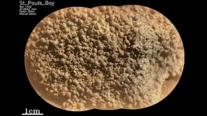 Roca St. Pauls Bay de Marte