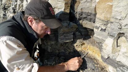 El profesor Greg Erickson excava en una zona rocosa del curso del río Colville, en Alaska (EE UU), en busca de fósiles de la nueva especie de dinosaurio que han hallado. Los investigadores creen que, entre los restos, hay huesos de otras 13 nuevas especies, aunque aún no lo pueden confirmar.