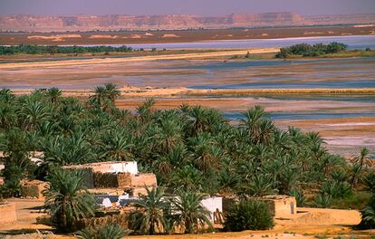 El oasis de Siwa, de donde partió la expedición formada por cuatro amigos, siete beduinos y 20 dromedarios.