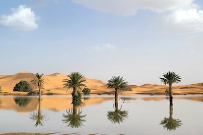 Las palmeras se reflejan en un lago causado por las fuertes lluvias en la ciudad desértica de Merzouga, cerca de Rachidia, sureste de Marruecos, el miércoles 2 de octubre de 2024.