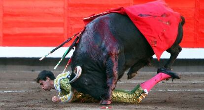 El toro coge a Jiménez Fortes.