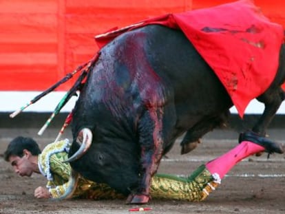 El toro coge a Jiménez Fortes.