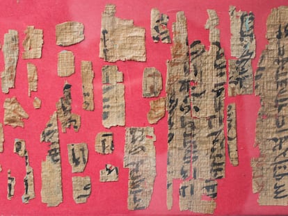 Imagen de los fragmentos de papiro conservados en el Museo Bíblico de Mallorca analizados por Marina Escolano-Poveda.
