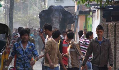 Pánico en las calles de Siliguri por la presencia de un elefante salvaje que se alejó del bosque Bailunthapur, en el estado de Bengala Occidental, India.