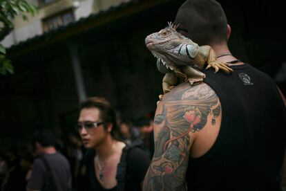 Un asistente al festival internacional del tatuaje porta su mascota, una iguana.