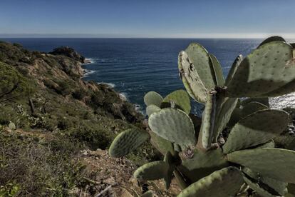 Les aigües de Tossa de Mar.