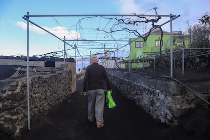 Un hombre pasa ante casas vacías en Jedey, La Palma, el viernes, día en el que se permitió volver a 700 evacuados.