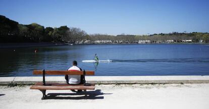 Un hombre mira el lago de la Casa de Campo.