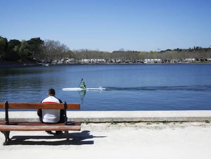 Un hombre mira el lago de la Casa de Campo.