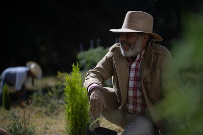 Buscando nuevas formas de germinar.