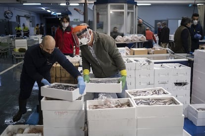 En 2019, las mercancías comercializadas en Mercasevilla alcanzaron un valor de 599 millones de euros. En concreto, fueron 251,47 millones de kilos de frutas y hortalizas, 44,03 millones de kilos de pescados y mariscos, 10,41 millones de kilos de carnes y 46,71 millones de kilos de productos polivalentes.