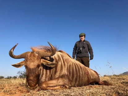 Marcial Gómez Sequeira posa con un ñu dorado recién tiroteado en Sudáfrica.