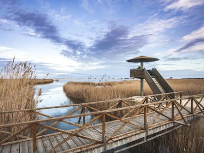 Torre d'observació ornitològica a la llacuna de l'Encanyissada, la més extensa del Parc Natural del Delta de l'Ebre, a la provincia de Tarragona. 