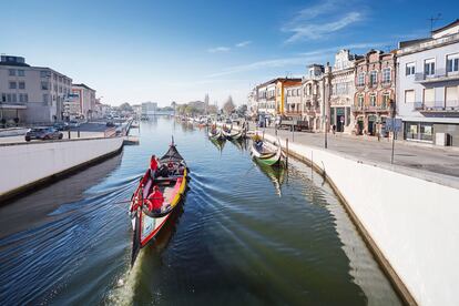 Clásicos 'moliceiros' en uno de los canales de la ciudad portuguesa de Aveiro.